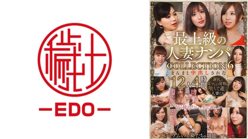最上級の人妻ナンパ COLLECTION 6 まんまと中出しされた12人4時間