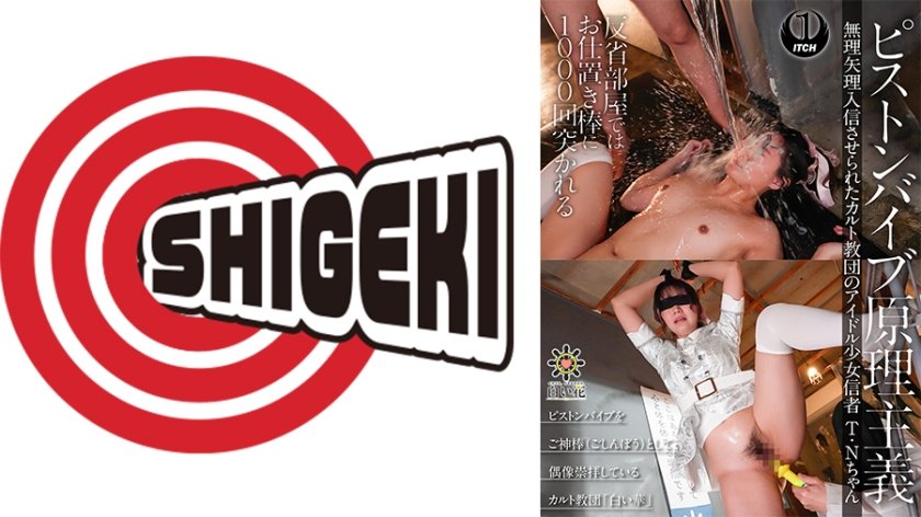 ピストンバイブ原理主義 無理矢理入信させられたカルト教団のアイドル少女信者 T・Nちゃん 教団勧誘編