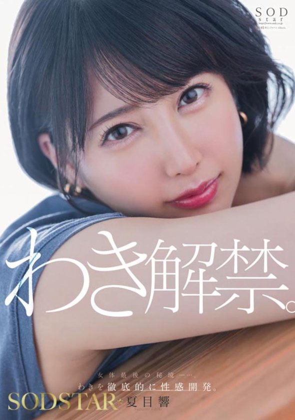 夏目響 AV卒業記念SP総集編！中出しから新作までの人気作品を集めた25作品25SEX10時間完全版！2枚目